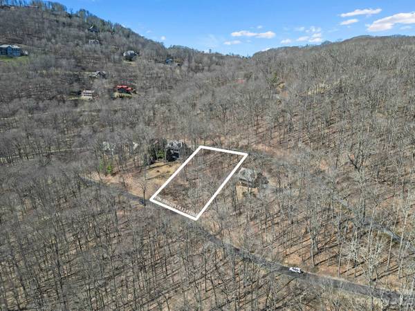 3 Chestnut Village LN #3A, Mars Hill, NC 28754