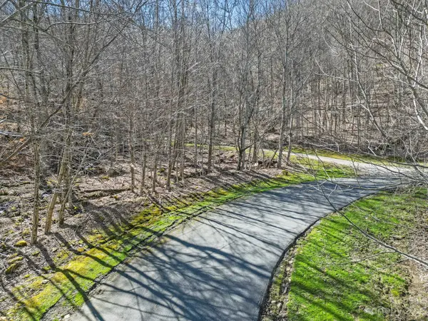 3 Chestnut Village LN #3A, Mars Hill, NC 28754