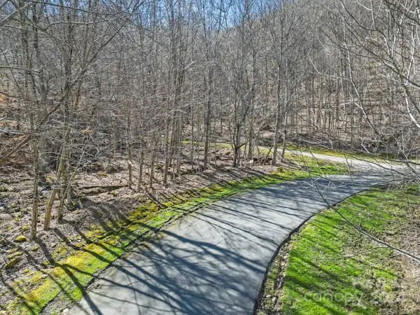 10 Chestnut Village LN #9 & 10, Mars Hill, NC 28754