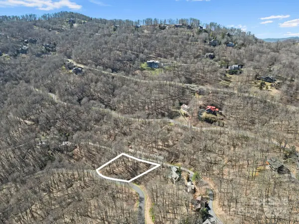 10 Chestnut Village LN #9 & 10, Mars Hill, NC 28754