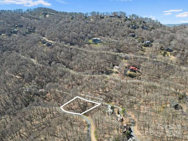 10 Chestnut Village LN #9 & 10, Mars Hill, NC 28754