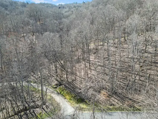 17 Chestnut Village LN ##17, Mars Hill, NC 28754