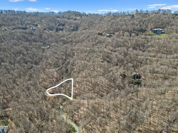 17 Chestnut Village LN ##17, Mars Hill, NC 28754