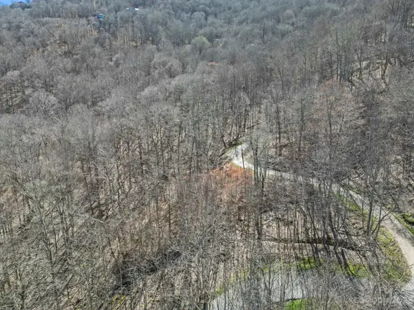 18 Chestnut Village LN ##18, Mars Hill, NC 28754