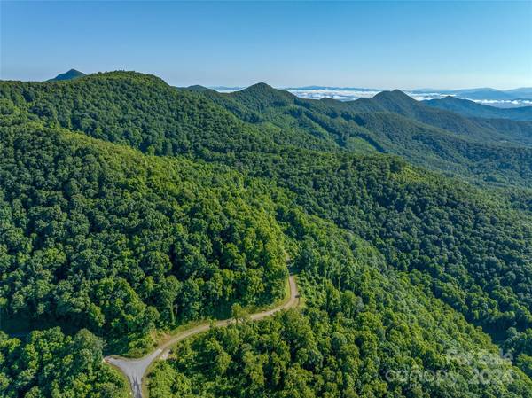 9999-28 Lovebird LN #28, Canton, NC 28716