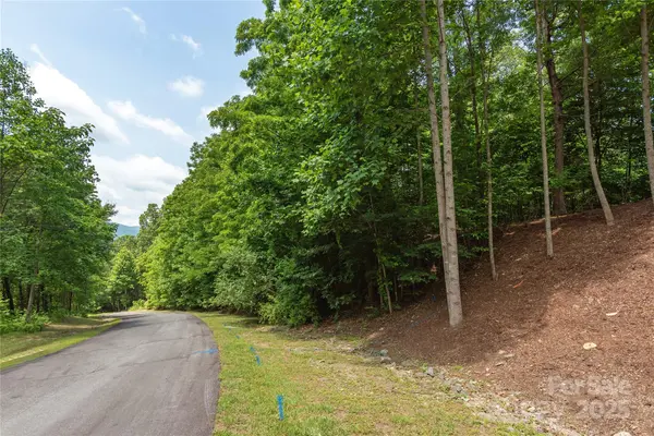 100 Ivywood LN, Laurel Park, NC 28739