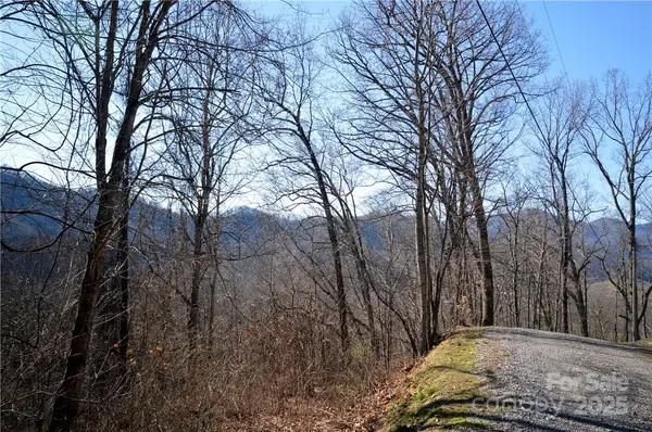 24 Lochmoor LN, Waynesville, NC 28785