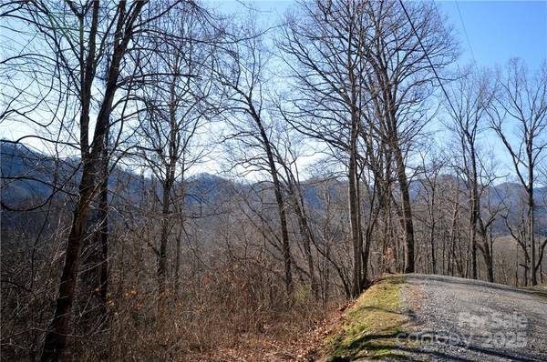 24 Lochmoor LN, Waynesville, NC 28785