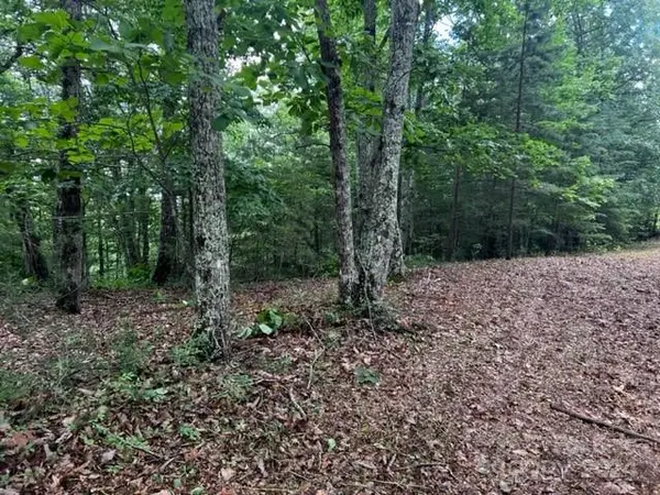 46 N Park LN, Mill Spring, NC 28756
