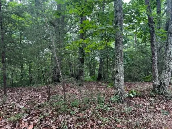 46 N Park LN, Mill Spring, NC 28756