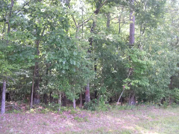 0000 Pekin RD #2, Candor, NC 27229