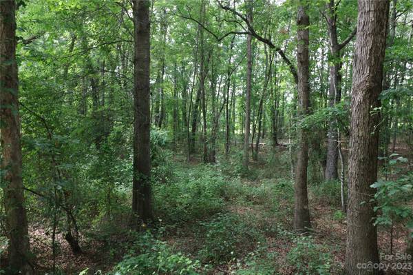 Lot 20 Commercial DR, Forest City, NC 28043