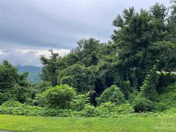 0 Clear Creek TRL #31, Lake Lure, NC 28746