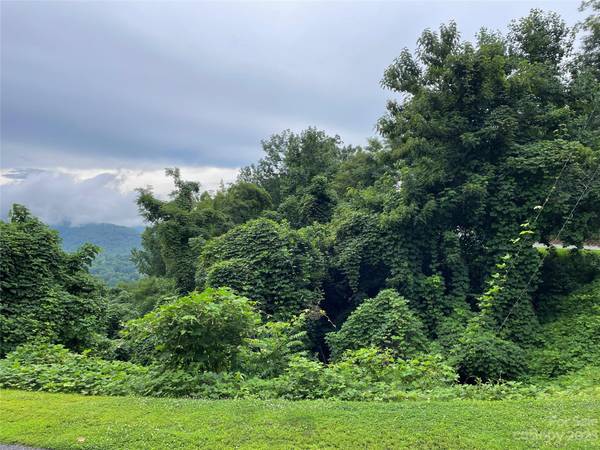 0 Clear Creek TRL #31, Lake Lure, NC 28746