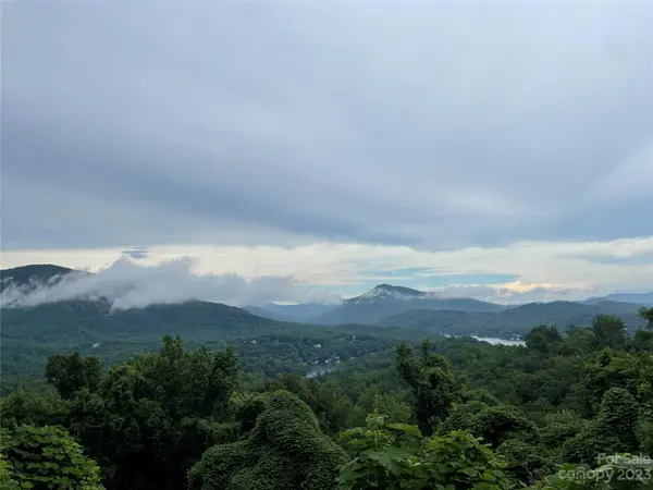 0 Clear Creek TRL #31, Lake Lure, NC 28746