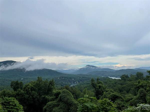 0 Clear Creek TRL #31, Lake Lure, NC 28746