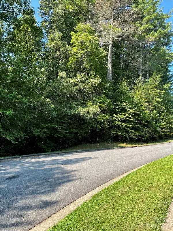 V48&49 Camptown RD #V48&49, Brevard, NC 28712