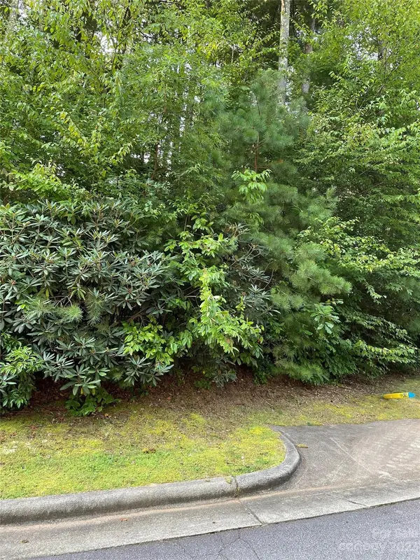 V48&49 Camptown RD #V48&49, Brevard, NC 28712