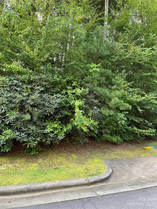 V48&49 Camptown RD #V48&49, Brevard, NC 28712