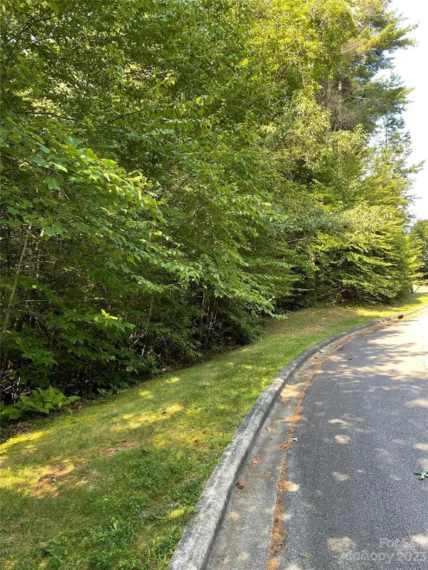 V48&49 Camptown RD #V48&49, Brevard, NC 28712