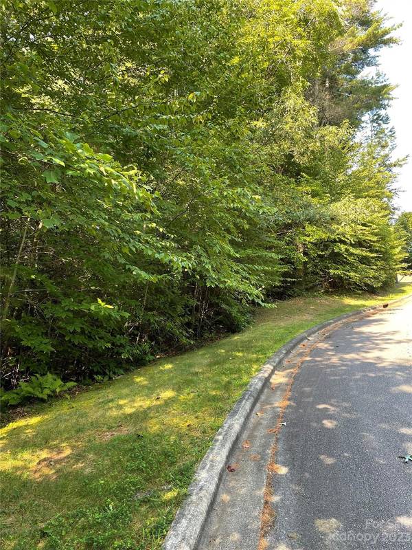 V48&49 Camptown RD #V48&49, Brevard, NC 28712