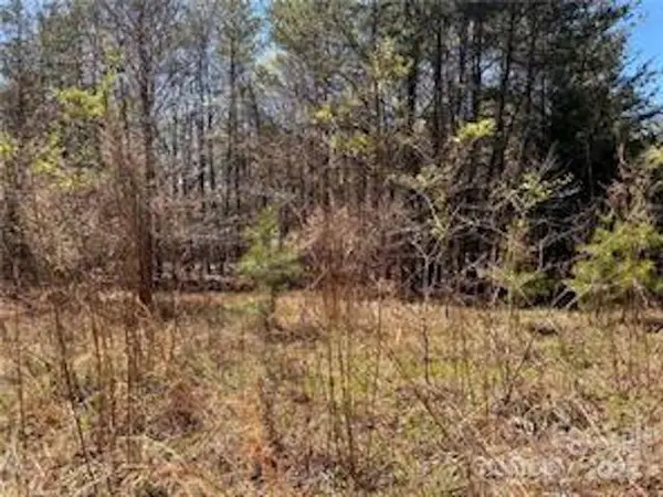 0000 Elliot LN ##45 & 48, Rutherfordton, NC 28139