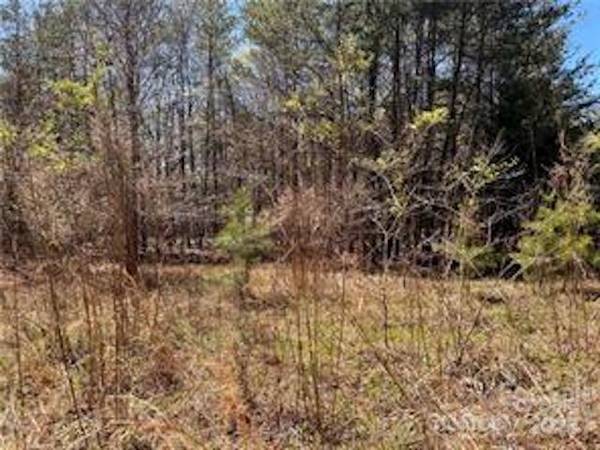 0000 Elliot LN ##45 & 48, Rutherfordton, NC 28139