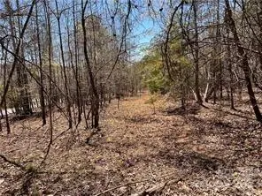 0000 Elliot LN ##45 & 48, Rutherfordton, NC 28139