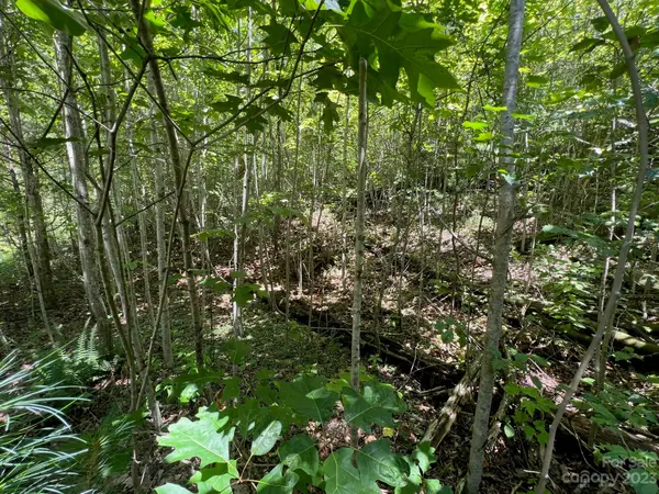 lot 24 Round Mountain RD #24, Brevard, NC 28712