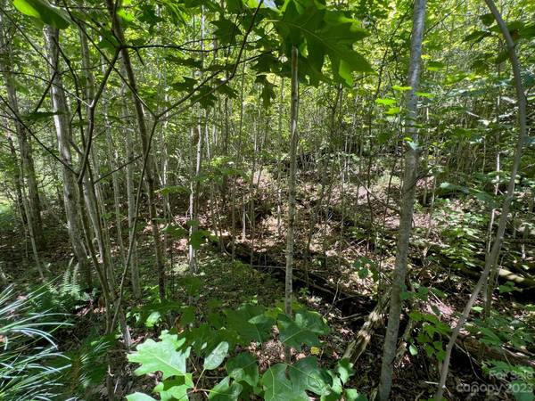 lot 24 Round Mountain RD #24, Brevard, NC 28712