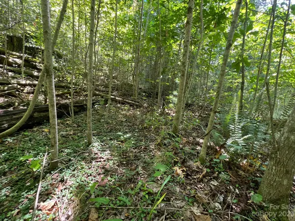 lot 24 Round Mountain RD #24, Brevard, NC 28712