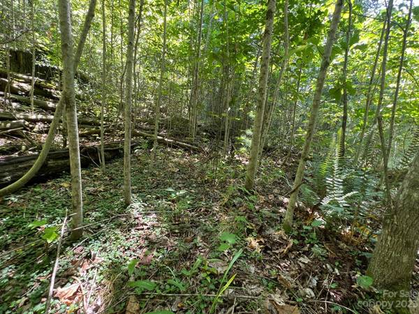 lot 24 Round Mountain RD #24, Brevard, NC 28712