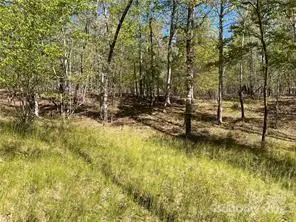 0000 Zackary LN #37, Rutherfordton, NC 28139