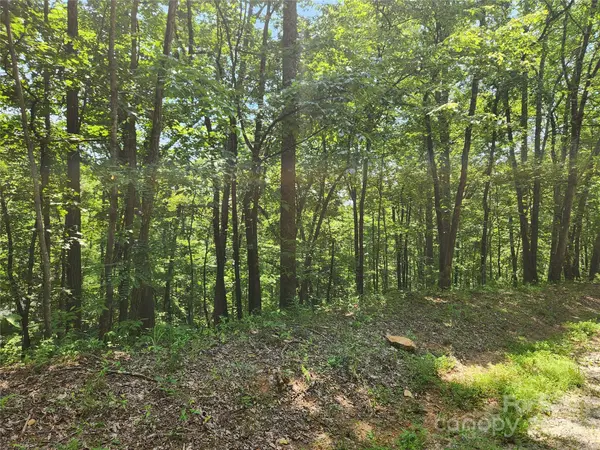 Lot 81, 82, & 88 Walnut LN, Lake Lure, NC 28746