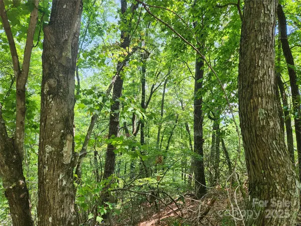 Lot 117, 118, & 132 Summit CT, Lake Lure, NC 28746
