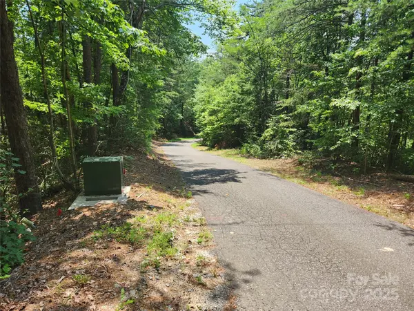 Lot 117, 118, & 132 Summit CT, Lake Lure, NC 28746