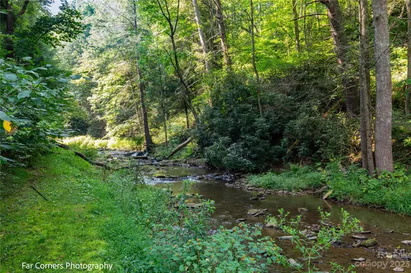 228 Chestnut Mountain RD, Canton, NC 28716