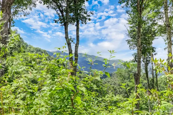0 Centurian LN #26, Maggie Valley, NC 28751