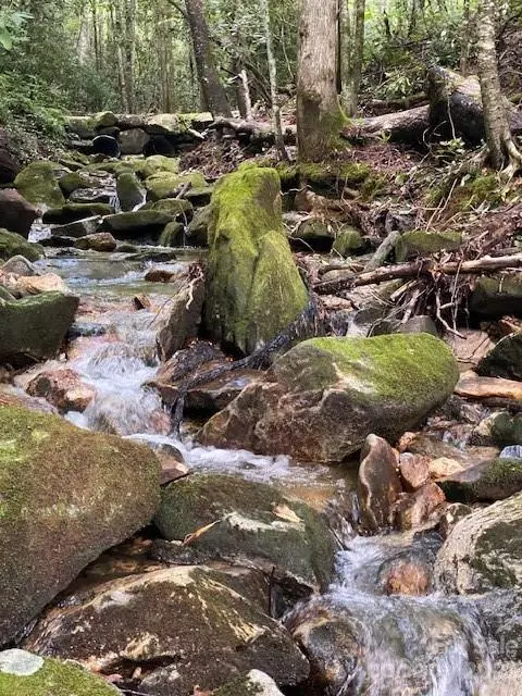 619 Speckled Feather PASS, Sapphire, NC 28774