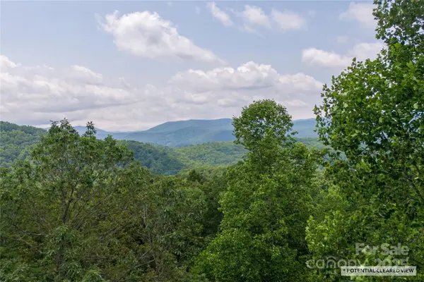 120 Ivywood LN, Laurel Park, NC 28739