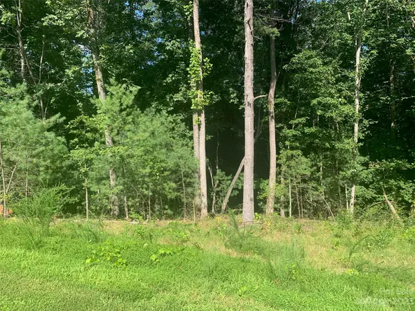 3.32 acres Lot 74 Round Mountain Pkwy #74, Lenoir, NC 28645