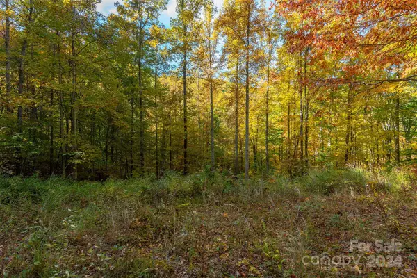 99999 Harwood RD, Barnardsville, NC 28709