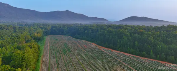 0 Fox Mountain RD #2, Columbus, NC 28722