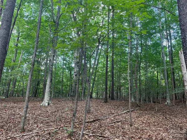 0 Fox Mountain RD #9, Columbus, NC 28722