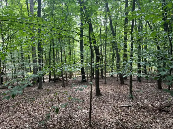 0 Fox Mountain RD #9, Columbus, NC 28722