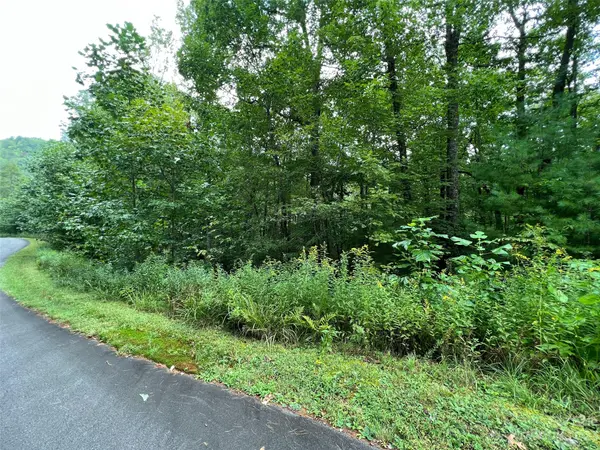 103 Laurel Thicket LN, Brevard, NC 28712