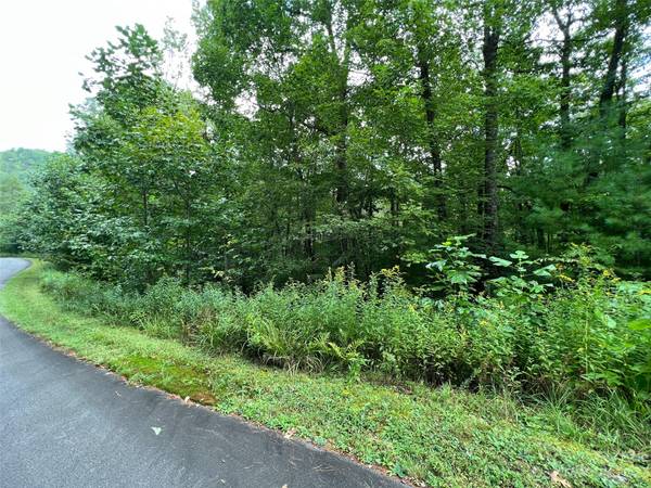 103 Laurel Thicket LN, Brevard, NC 28712