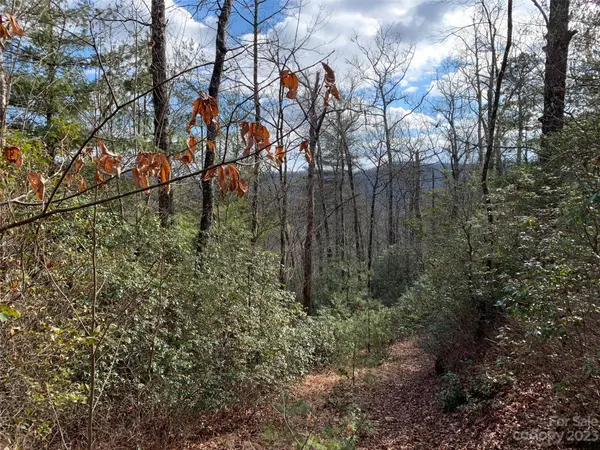 91 Laurel Thicket LN, Brevard, NC 28712