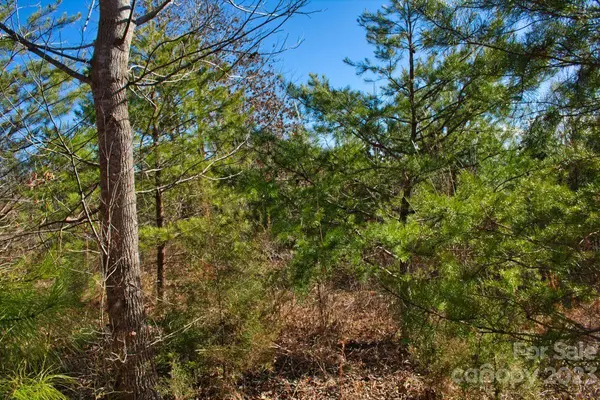 0 Whitestone CIR #81, Union Mills, NC 28167