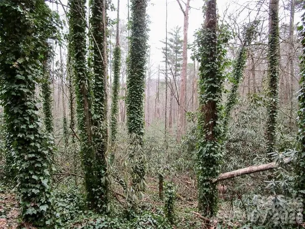 Lot #21 Toxaway Falls DR, Lake Toxaway, NC 28747